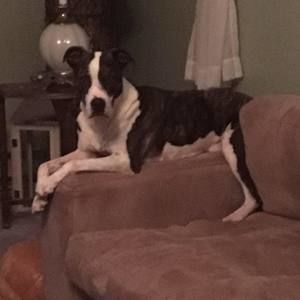 Meet your Posher, Debbie